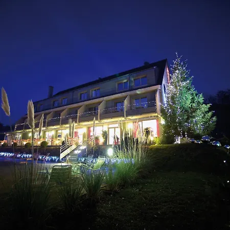 Hotel Du Guebwiller